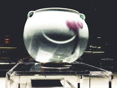 -上海观复博物馆