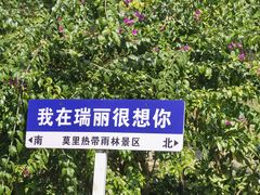 -莫里热带雨林景区