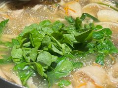 -芭夯兔·兔肉汤锅(新都店)