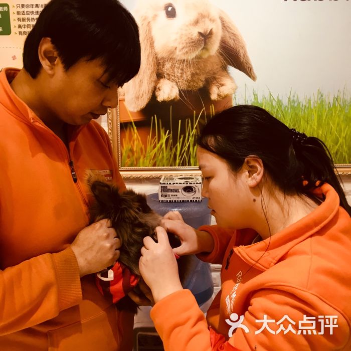 兔子百货图片-北京宠物店-大众点评网