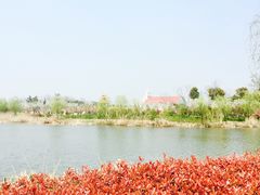 -杭州湾海上花田景区