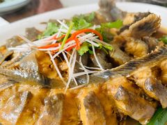 -鸿运美食府