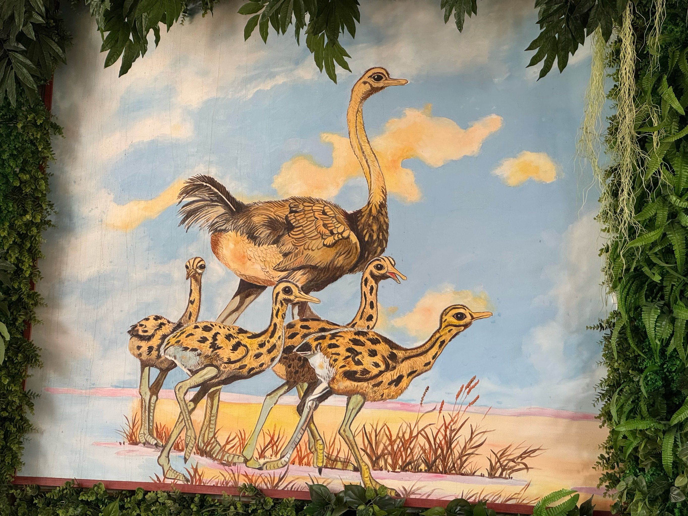 森林鸵鸟餐厅,**套餐十分优惠,火锅里有