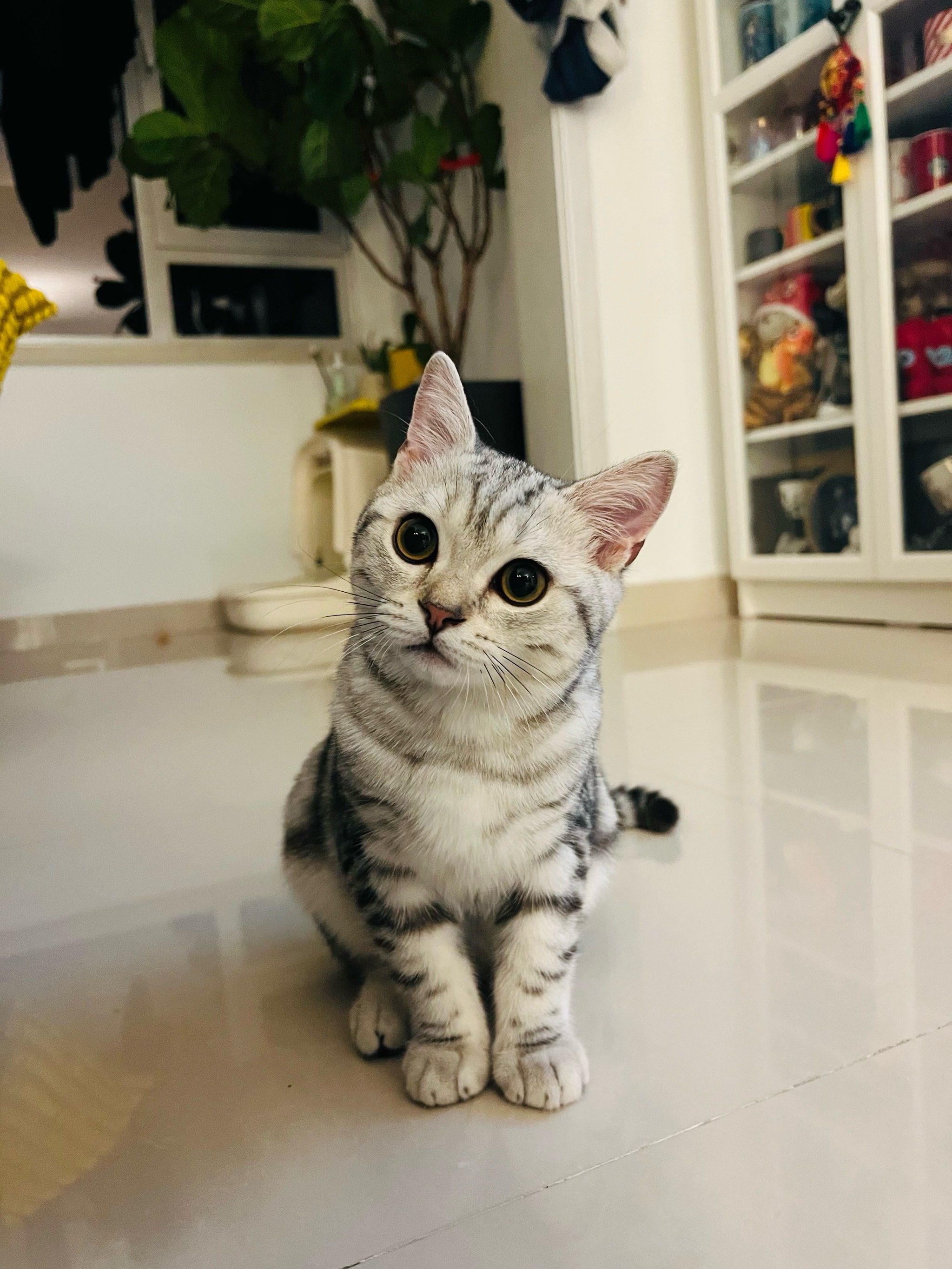 醒醒# 臭醒宝,快睡觉吧～😺