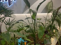 -麓椿花园西餐厅(海乐世界店)