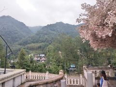 -四川省成都市彭州市白鹿镇