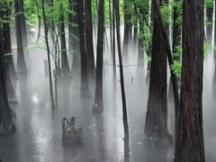 -东湖落雁景区