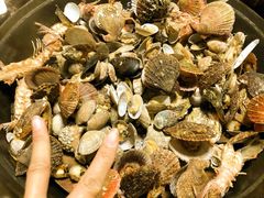 -大锅强·蒸海鲜青岛菜(吾悦广场店)