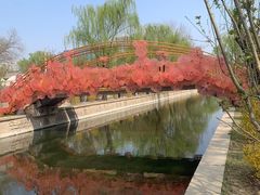 -元大都城垣遗址公园