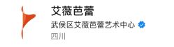 -艾薇芭蕾艺术中心