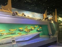 -长江文明馆
