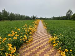 -嘉荫恐龙国家地质公园