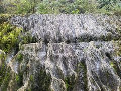 -梭布垭石林景区