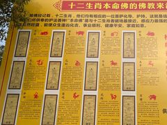 -贡湖湾湿地公园