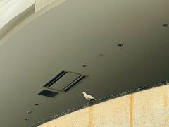 -三亚蜈支洲岛旅游区