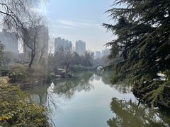 -西苑公园