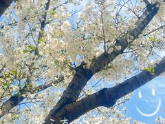 -西北湖绿化广场