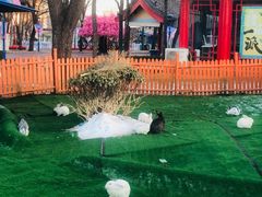 -欢乐水魔方水世界