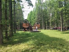 -黄海国家森林公园