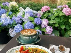 -ommo cafe(半岛城邦店)