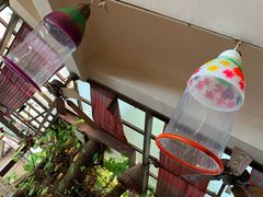 -卷心菜和避孕套餐厅(Pattaya)