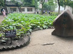 -绍兴鲁迅故里·沈园景区