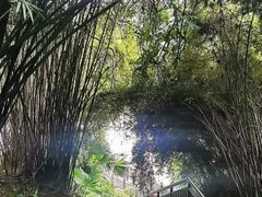 -重庆彩云湖湿地公园