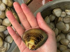 -启东黄金海滩景区