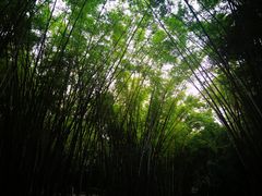 -晓港公园