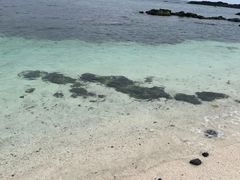 -牛岛王子面馆