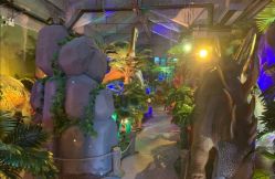 -恐龙探索乐园(磁器口店)