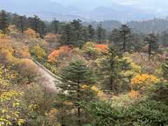 -峨眉山风景名胜区