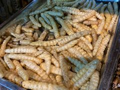 -昆虫窝子·特色云南菜(拓东路总店)