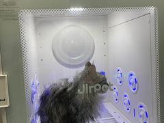 -瑞派紫金宠物医院24小时·骨科·中兽医·重症转诊中心(番禺大石院)