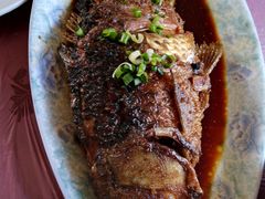 -小鱼草莓采摘园农家乐·小鱼餐厅