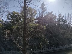 -汇龙潭