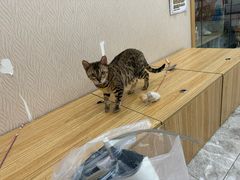-东方之珠洗浴休闲广场(南开店)