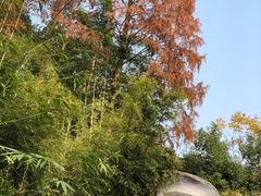 -三江森林温泉度假区