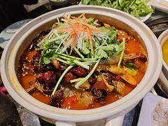 -先机泉水鸡汤(南山老君洞店)