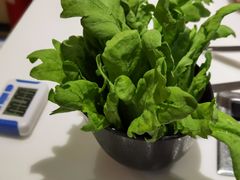 -东椰·海南椰子鸡火锅(朝阳门店)