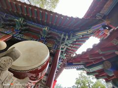 -高尔山公园