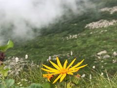 -秦岭风景区