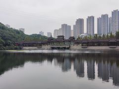 -重庆彩云湖湿地公园