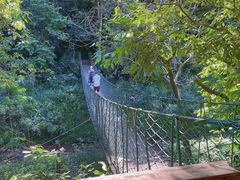 -西双版纳原始森林公园