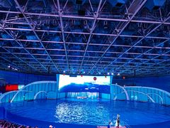 -海合安青岛极地海洋公园