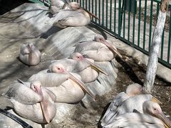 -水上乐园·欢乐世界