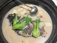 -7017浙菜•建德味(中财店)
