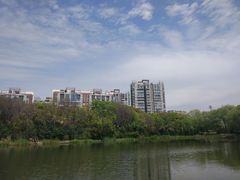 -新江湾城公园