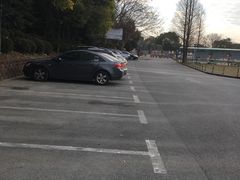 -上海滨江森林公园·停车场