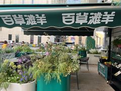 -悦海新天地